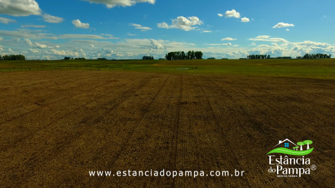 DOS EÓLICOS VIRA P FAZENDA_Moment.00_01_57_08.Quadro184_b66d811975d32eee9f0d3ce57e9636c03913763f.jpg